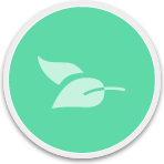 Complementary and Alternative Medicine (CAM)