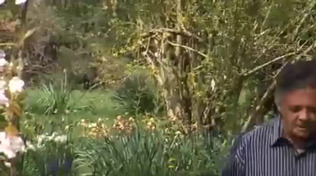 Carotid artery: Joseph's story