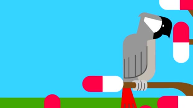 qui minim quia Duis in