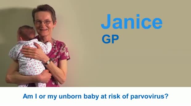 dolore exercitation officia anim 
