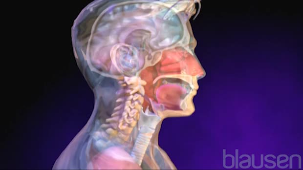 Upper Respiratory Infection