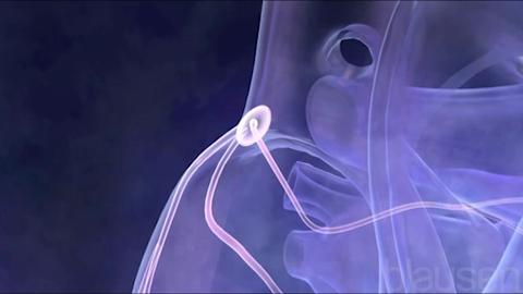 Test File <strong>Corrotto</strong>